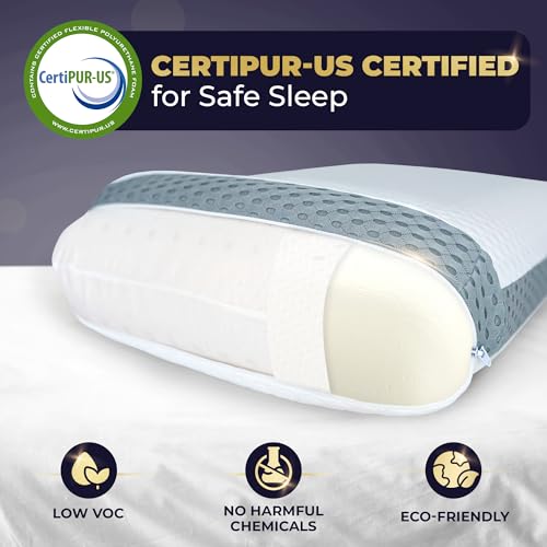 Memory Foam Pillow