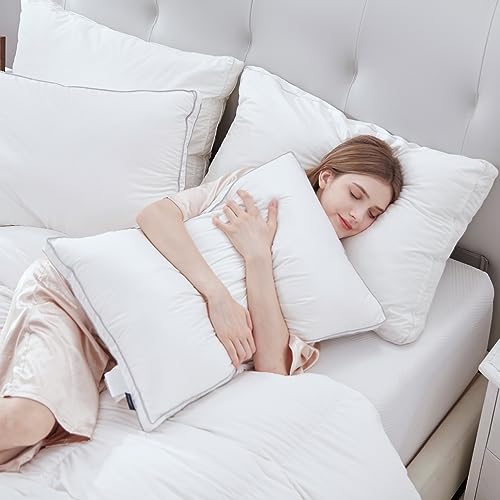 Luxury Feather Down Pillow King Size (2 Count)