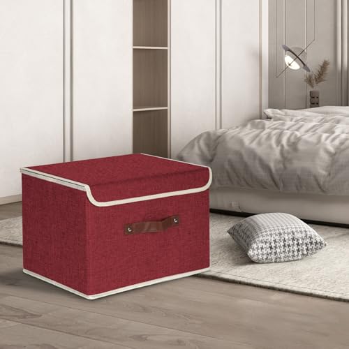 Collapsible Storage Boxes (2 Count)