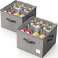 Shoe Organizer for Closet (2 Count)
