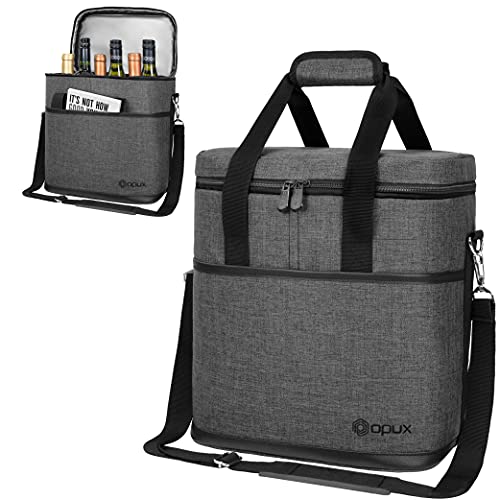 Insulated Wine Cooler Bag