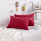 Toddler Pillows (2 Count)
