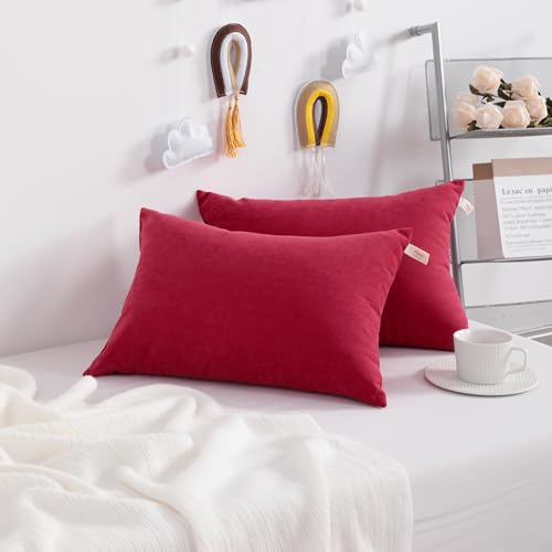 Toddler Pillows (2 Count)