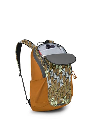 Astronova Campus Laptop Backpack