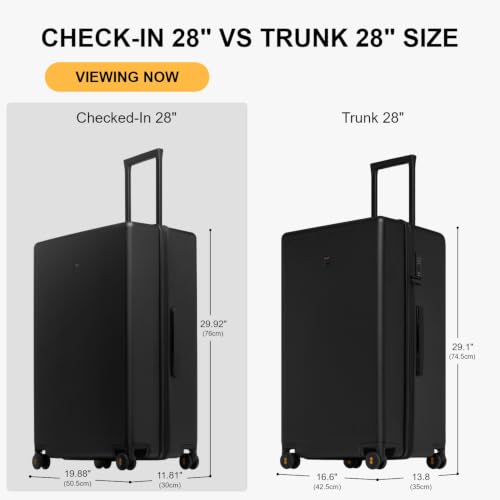 Checked Luggage
