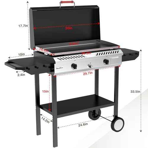 2 Burner Outdoor Propane Gas Stove with Auto Ignition & Regulator