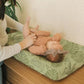 Changing Pad Covers for Baby (2 Count)