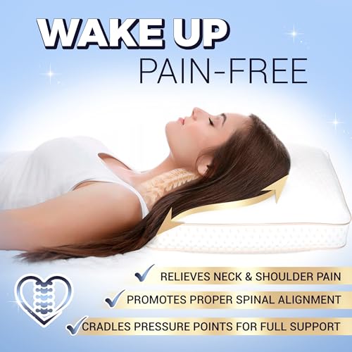 Queen Memory Foam Pillows 2 (2 Count)
