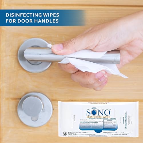 Disinfecting Wipes (60 Count)