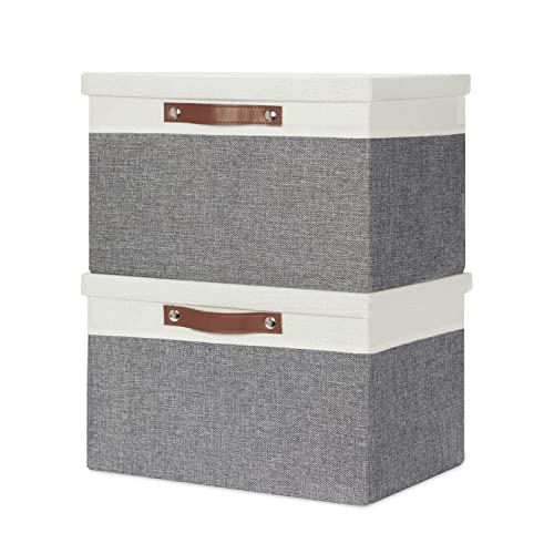 Collapsible Storage Bins Storage Boxes with lid (2 Count)