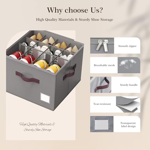 Shoe Organizer for Closet (2 Count)