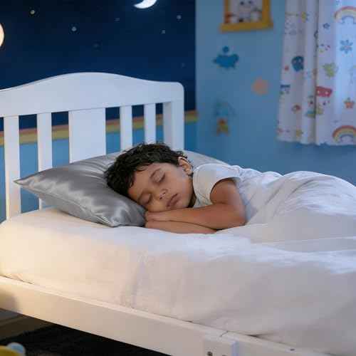 Toddler Pillows with Pillowcases Set (2 Count)