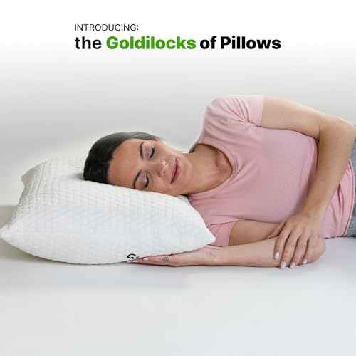 Shredded Memory Foam Pillow with Adjustable Gel and Cooling Breathable Cover (2 Count)