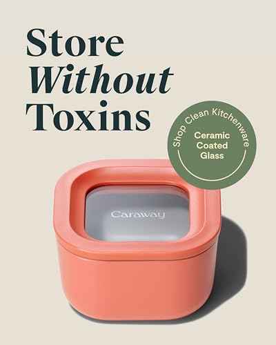 Mini Square Food Storage Container