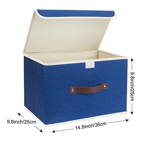 Collapsible Storage Boxes (2 Count)