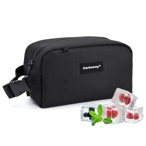 Small Cooler Bag