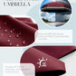 Mini Travel Umbrella with Case