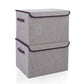 Large 42 Quarts Fabric Storage Bins with Lids [2 (2 Count)