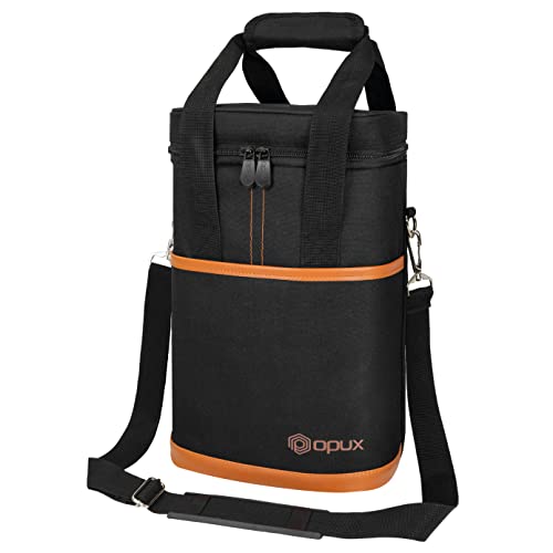 Insulated Wine Cooler Bag