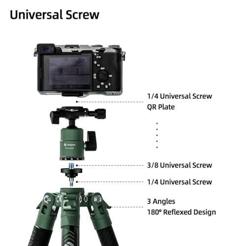 Carbon Fiber Tripod 60 Inch 360 Degree Ball Head Quick Release Plate Lightweight Camera Tripod for Travel Tripod Folded Height Only 14.3"