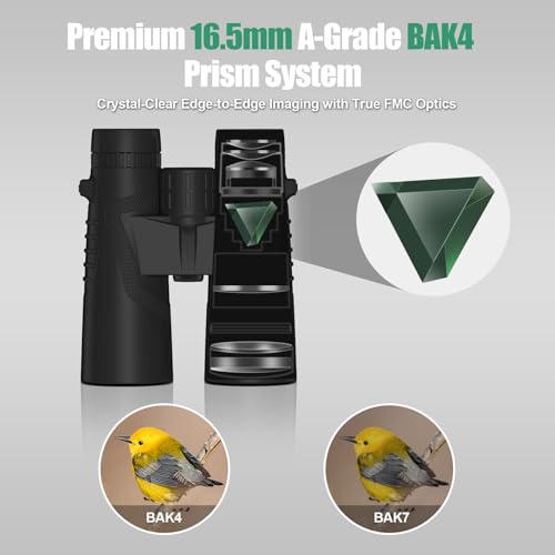 10x42 Binoculars with BAK4 Prism & FMC Coating