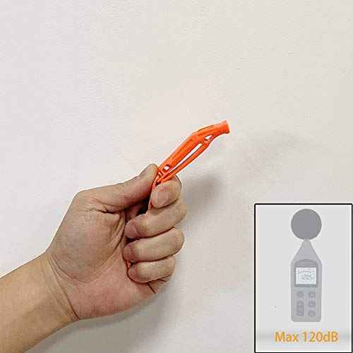 Emergency Safety Whistle with Lanyard