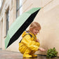 Mini Travel Umbrella with Case