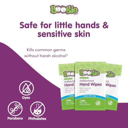 Antibacterial Hand Wipes (30 Count)