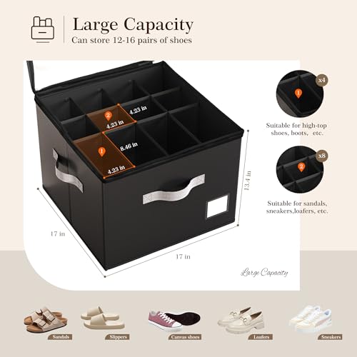 Shoe Organizer for Closet (2 Count)