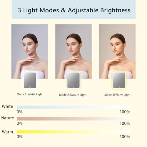 Makeup Bag with Led Mirror