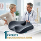 Ergo Office Chair Cushion for Back Pain
