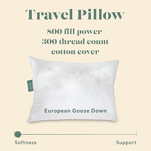 800 Fill Power European Goose Down Travel Pillow