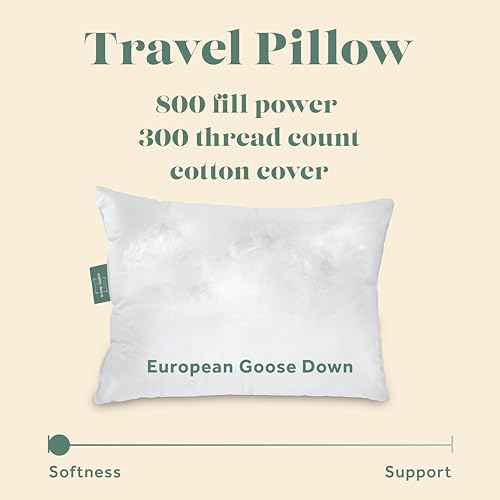 800 Fill Power European Goose Down Travel Pillow