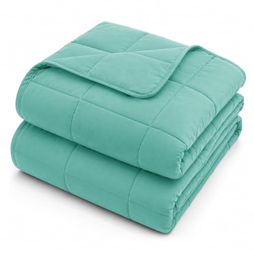 Weighted Blanket for Adults 20lbs（Queen Size