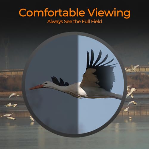 12x42 Binoculars for Adults High Powered with Phone Adapter