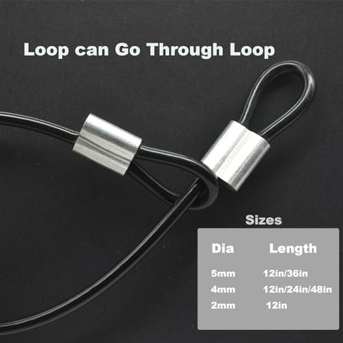 10 Pcs 5mm Wire 12 inch Vinyl Coated Stainless Steel Cable with Loops Short Wire Rope Lanyard Lock Security Chain Link for Outdoor Gates (10 Count)