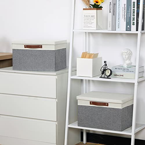 Collapsible Storage Bins Storage Boxes with lid (2 Count)