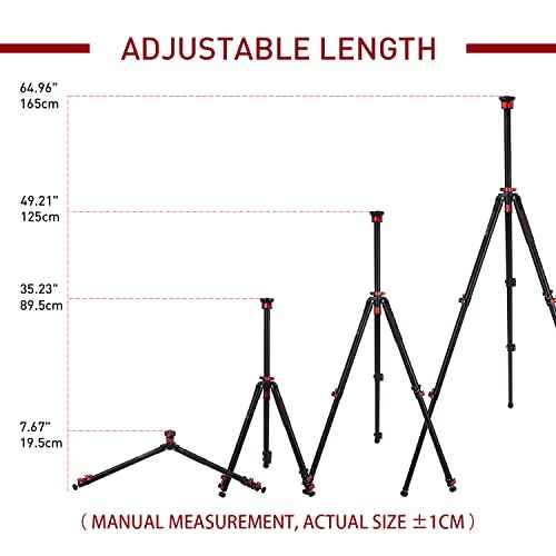 TC6S Carbon Camera Tripod