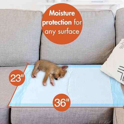 Disposable Underpads 23 x 36 in (50 Count)