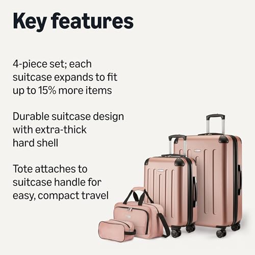 4 Piece Luggage Set (4 Count)