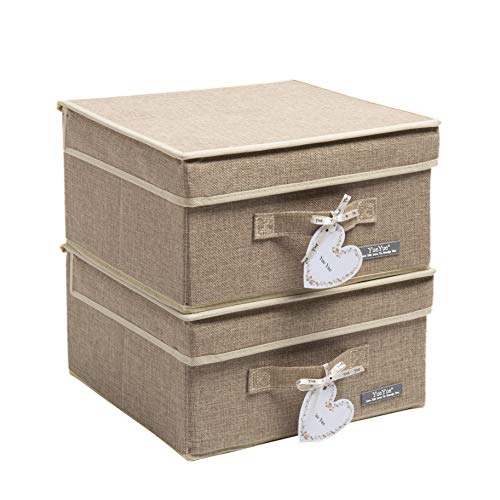 Foldable Fabric Closet Organizer Bins Box Storage (2 Count)