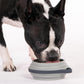 Nomad Small Collapsible Travel Dog Bowl