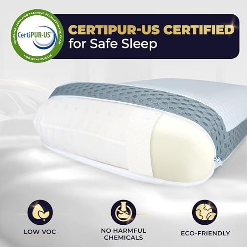 Memory Foam Pillow