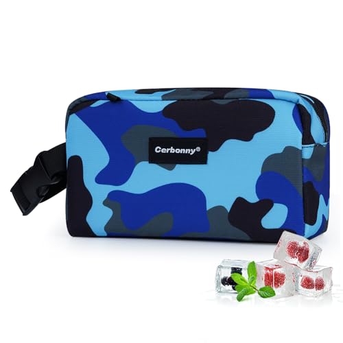 Small Insulated Cooler Bag