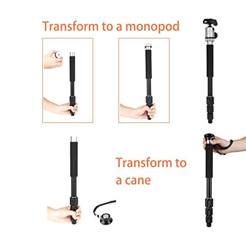 Camera Tripod 55 Inch Aluminum Ball Head Quick Release Plate Professional Camera Tripod for Travel Tripod Max Load Up to 17.6lbs