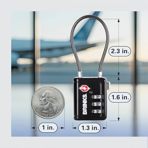 TSA Accepted Indicator Luggage Lock (2 Count)