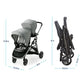 Ready2Grow LX 2.0 Double Stroller