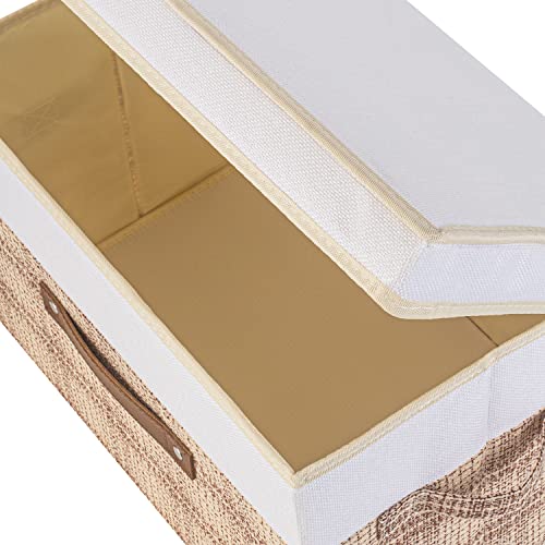 Collapsible Storage Bins with Lids (5 Count)