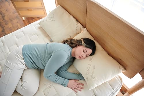 Organic Latex Pillow