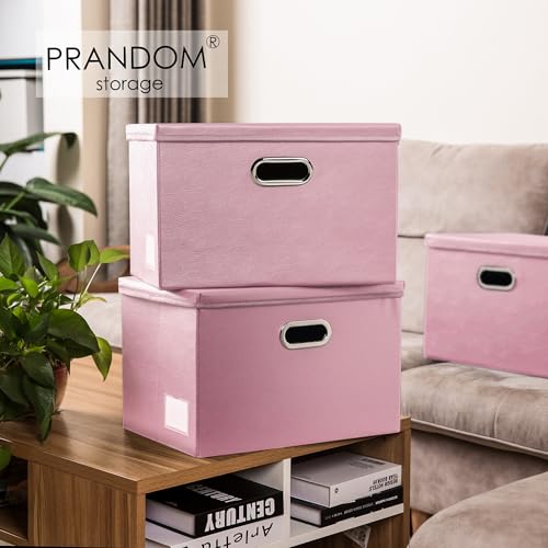 Large Collapsible Storage Box with Lid [1